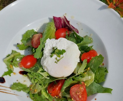 Poached egg with the fresh lettuce mix salad