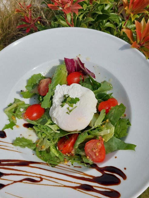 Poached egg with the fresh lettuce mix salad